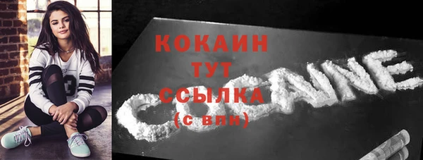 spice Богородицк