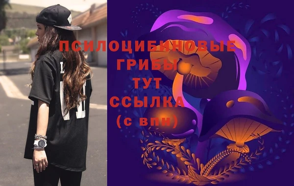МДПВ Белокуриха