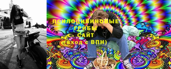 МДПВ Белокуриха