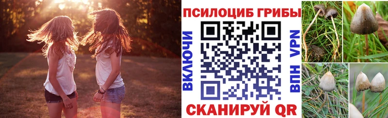 Купить  Малмыж  Галлюциногенные грибы GOLDEN TEACHER 